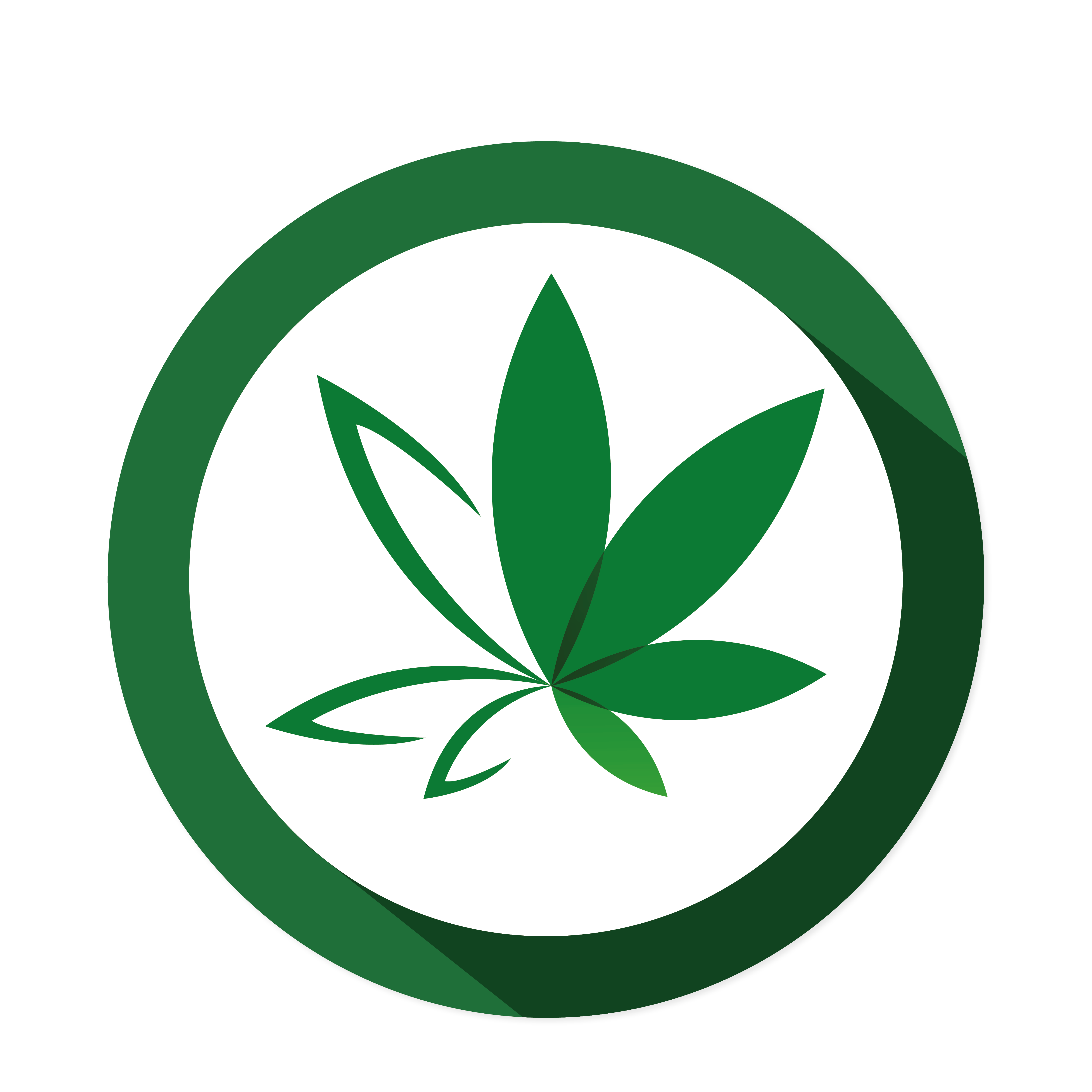 LOGO_BEHARMONY_thérapies_1200x1200 pixels_cannabis